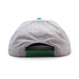 GUINNESS Dublin Shamrock Snapback Baseball Cap, Grey/Green