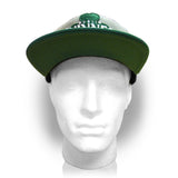 GUINNESS Dublin Shamrock Snapback Baseball Cap, Grey/Green