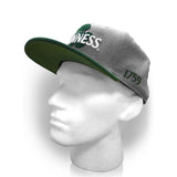 GUINNESS Dublin Shamrock Snapback Baseball Cap, Grey/Green